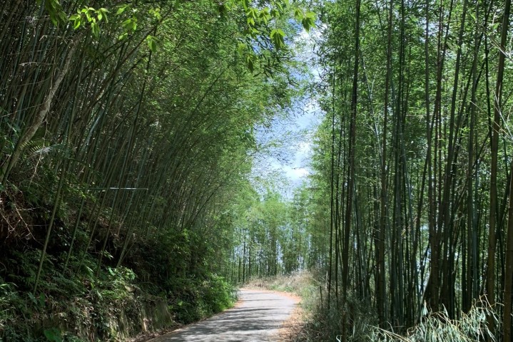 【苗栗泰安】三天兩夜小旅行