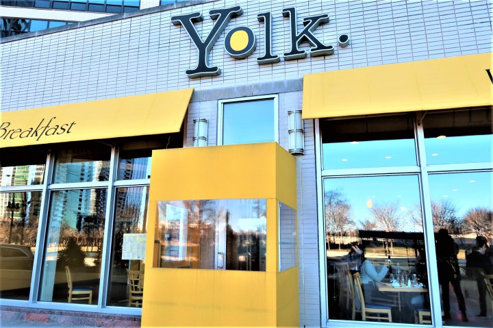 Yolk2.jpg