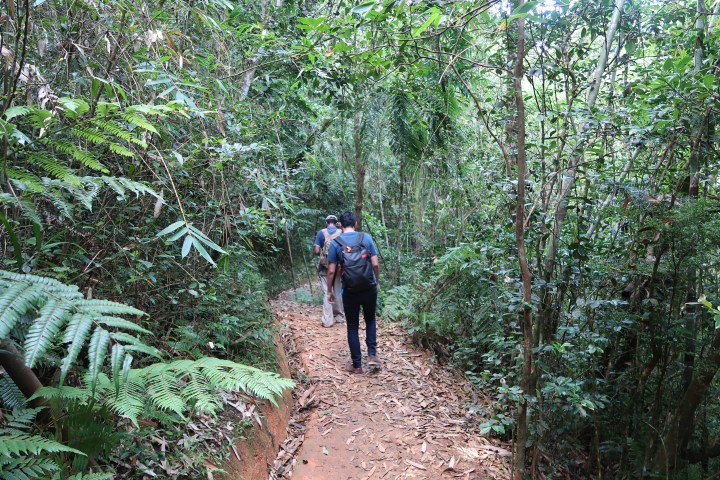 蜜月二部曲－【馬達加斯加】6天6夜，不思議的生態地質人文之旅 〈DAY 3〉